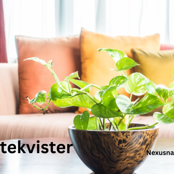 Pyntekvister