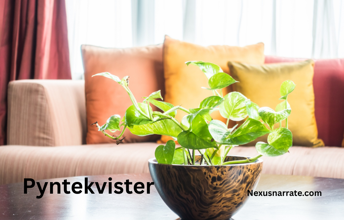 Pyntekvister