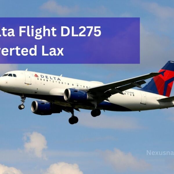 delta flight dl275 diverted lax