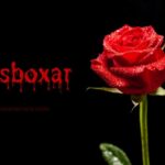 The Amazing Science Behind Rosboxar: How It Works and Why It Matters