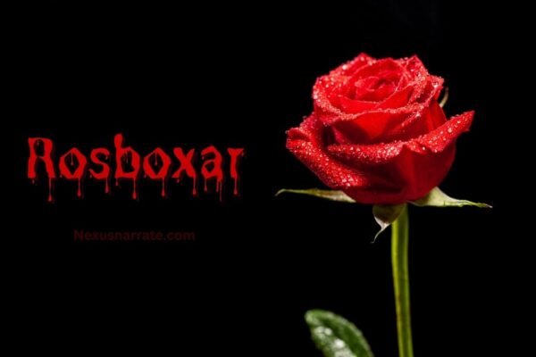 rosboxar