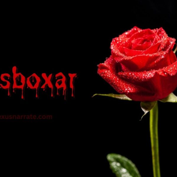 rosboxar