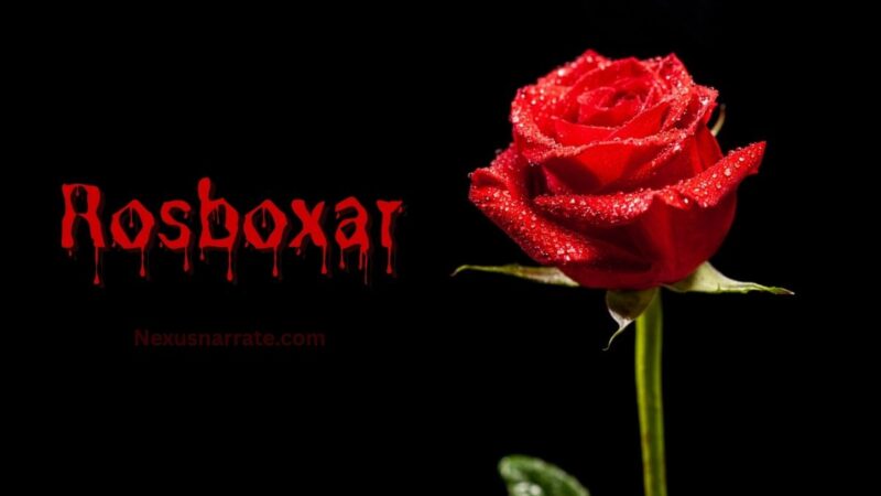 The Amazing Science Behind Rosboxar: How It Works and Why It Matters