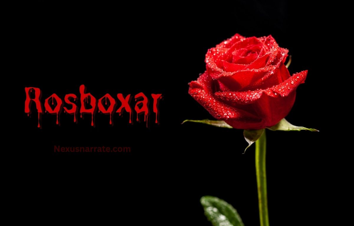 rosboxar