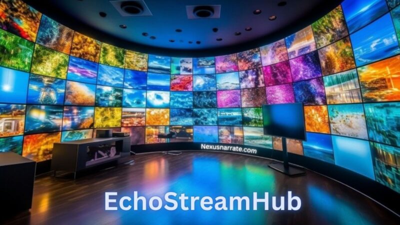 How EchoStreamHub is Revolutionizing The Amazing Content Delivery for Creators